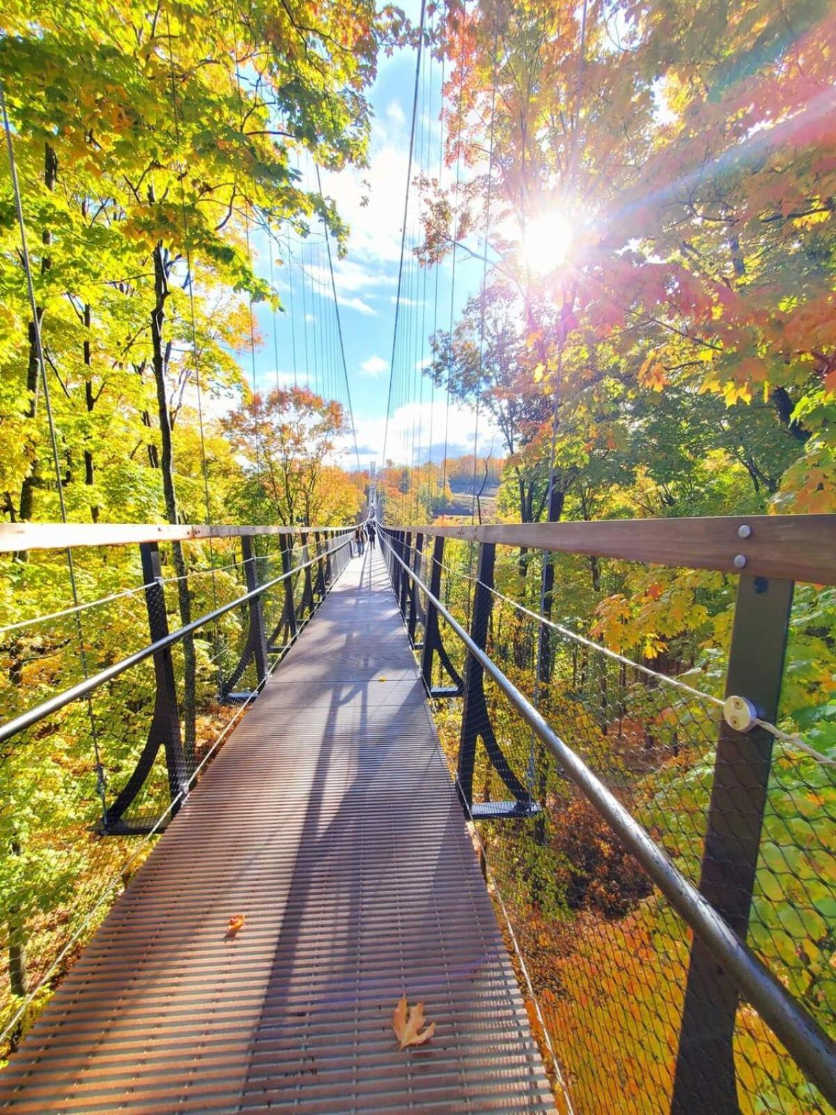 Boyne Mountain Condo -Sleeps 12 Boyne Falls エクステリア 写真